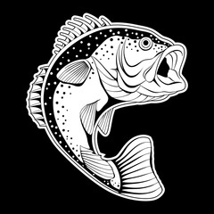 Black bass fish on black background. Isolated vector illustration