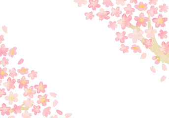 水彩のシンプルな桜背景