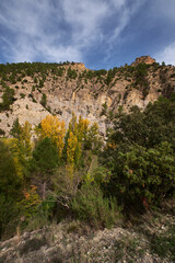 autumn forest against the backdrop of mountains