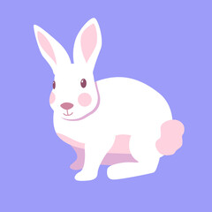 Cute little rabbit isolated on blue background