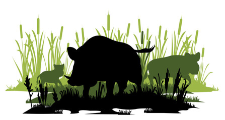 Wild boar in swamp protects his family. Animal in natural habitat. Wild pig illustration. Isolated on white background. Vector.