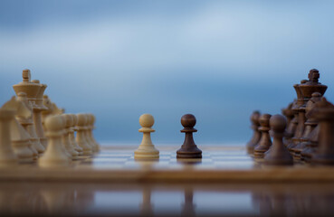 chess pieces on the board