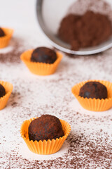 Homemade cocoa cookies with cocoa powder