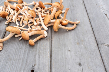 Fototapeta premium Group of fresh harvest mushroom on wooded table background. Raw mushrooms for publication, poster, screensaver, wallpaper, postcard, banner, cover, post. High quality photo