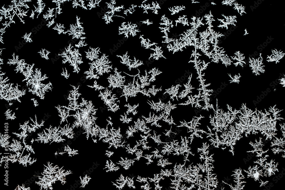 Wall mural snow frost on the window glass on a frosty day, natural patterns, isolated from the background