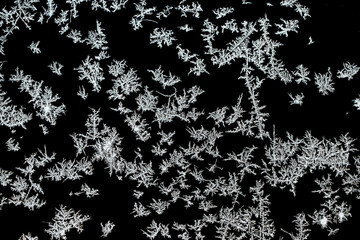 snow frost on the window glass on a frosty day, natural patterns, isolated from the background