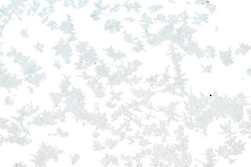 snow frost on the window glass on a frosty day, natural patterns, isolated from the background