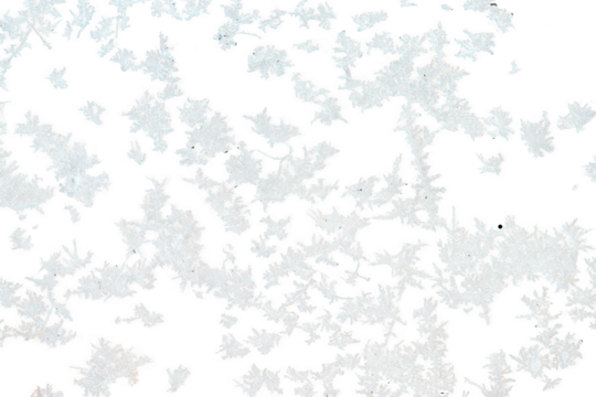 snow frost on the window glass on a frosty day, natural patterns, isolated from the background