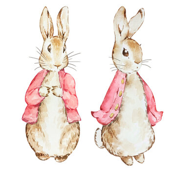 Watercolor cute Peter Rabbits in red jacket