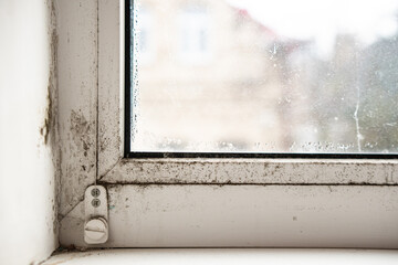 House window with damp and condensation