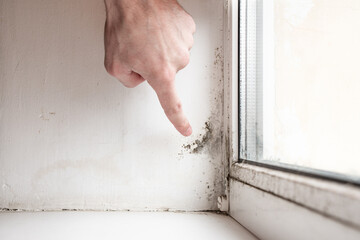 Man points his finger in the mold and fungus on the wall and white window. Dangerous fungus that needs to be destroyed