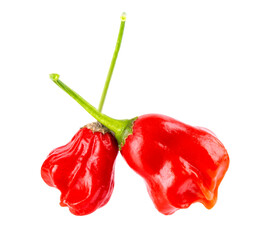 Ripe red chili peppers isolated on a white background. Capsicum baccatum or Bishop's crown pepper.