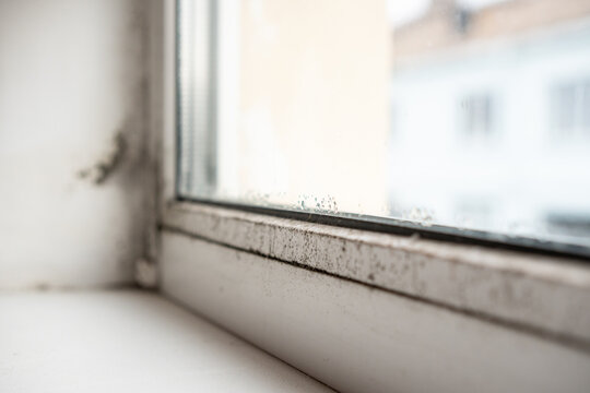 Mould and rot on a white plastic window frame