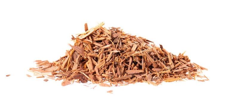 Catuaba bark isolated on white background. Trichilia catigua bark. Chuchuhuasha, Tatuaba, Pau de Reposta, Piratancara and Caramuru.