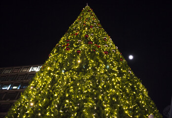 Detail from new Christmas tree in Belgrade