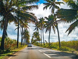 Fototapeta na wymiar Driving in Mauritius