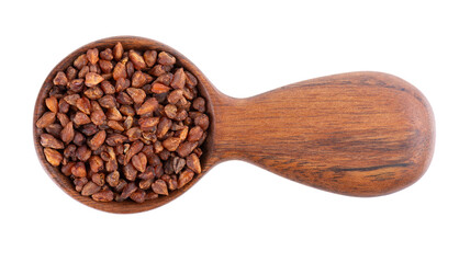 Buckwheat tea in wooden spoon, isolated on white background. Whole roasted buckwheat grains. Fagopyrum tataricum. Top view.