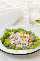Ceviche, typical fish-based dish of Peruvian cuisine on light background.