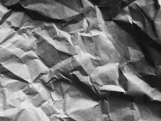 Dense, heavily crumpled paper forms a relief background with pronounced folds and irregularities.