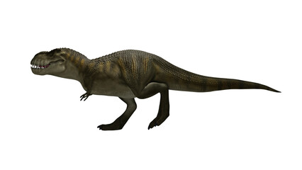 Obraz na płótnie Canvas Trex dinosaur walk render image