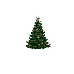 christmas tree isolated on white