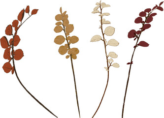 Autumn Winter Leaves. Four coloured leaf stems in autumn orange, winter mushroom blush and red. Hand drawn. Pencil texture. Collage design elements, isolated background.