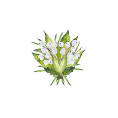 Watercolor hand drawn illustration with the white flowers, leaves. Design for textile,  fabric, cards, banners, icons, posters, invitations. Also suitable for wedding.
