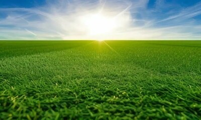 sunrise over green grass field and blue sky