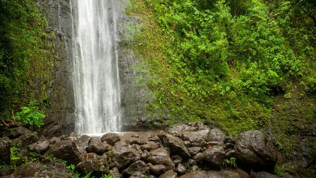 Cinemagraph of tropical waterfall in the jungle
