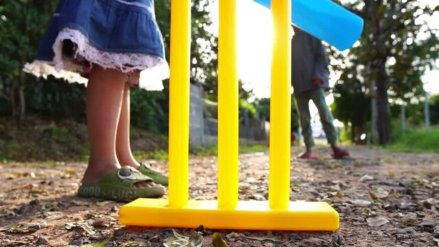 Both boys and girls are playing cricket