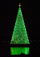 christmas tree with lights and stars