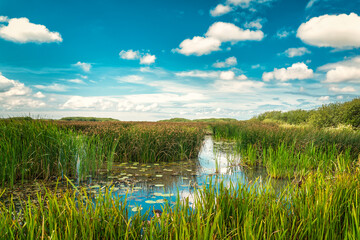Skjern Enge Nature Reserve