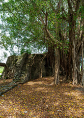 Old Portuguese Fort close to Suai, on the Southern Coast of East Timor.