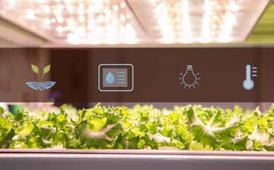 Hydroponics system. Vegetable grow with artificial LED lighting in indoor vertical gardening. Hydroponic illustration symbols.