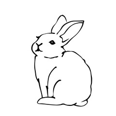 Linear sketch of a rabbit.Vector graphics.