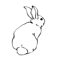 Linear sketch of a rabbit.Vector graphics.