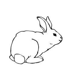 Linear sketch of a rabbit.Vector graphics.