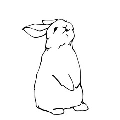 Linear sketch of a rabbit.Vector graphics.