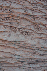 Crumbling Sandstone Background