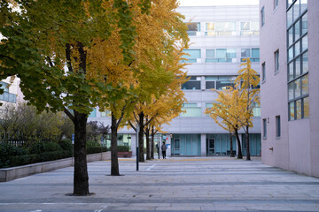 Autumn afternoon at University