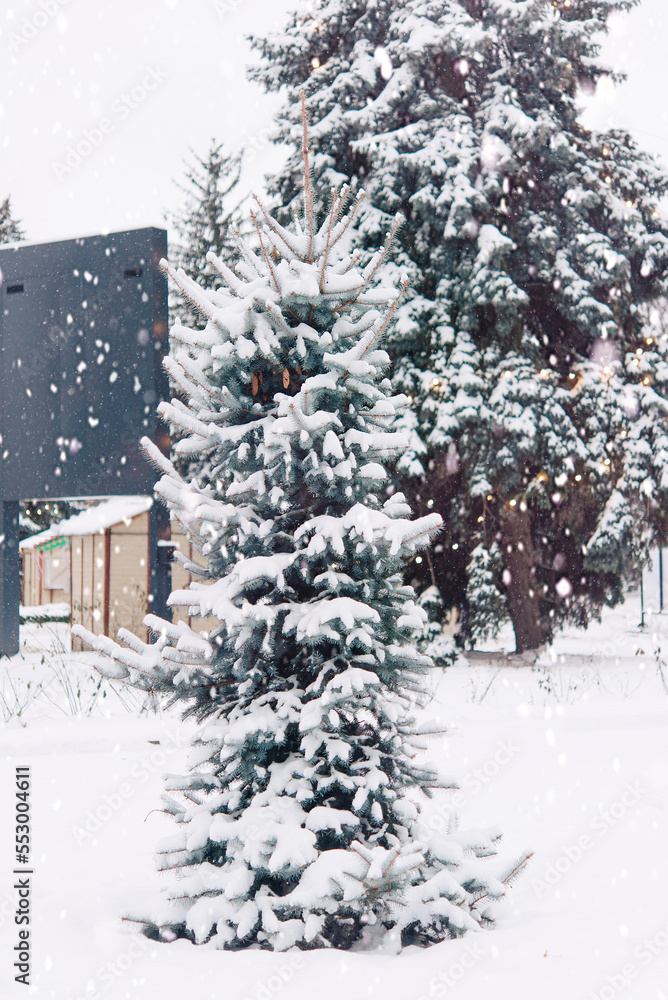 Poster winter landscape, snow-covered tree in the park	