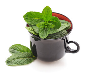 Green mint in a cup.