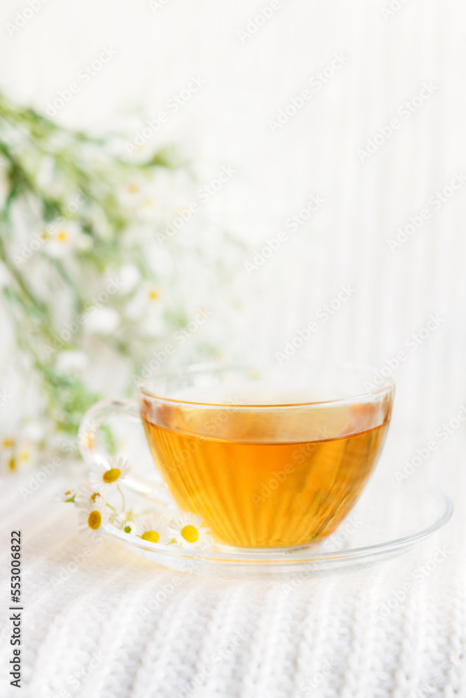 Wall mural cup of herbal tea with chamomile flowers	