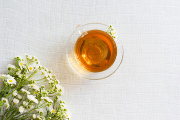 cup of herbal tea with chamomile flowers	