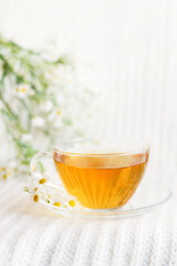 cup of herbal tea with chamomile flowers	