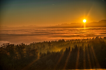beautiful sunset  over the alps and the fog sea