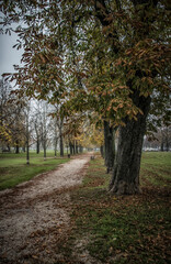 A path in the Park of dr Franje Tudjmana in Zagreb in the autumn