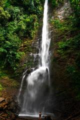 Fototapeta na wymiar waterfall in the forest 