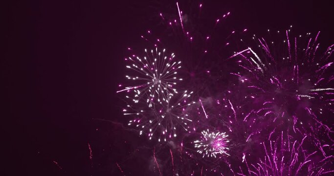 Fireworks in night sky. The colors are red and violet