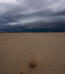 Cumulus clouds laden with rain cover the desert
